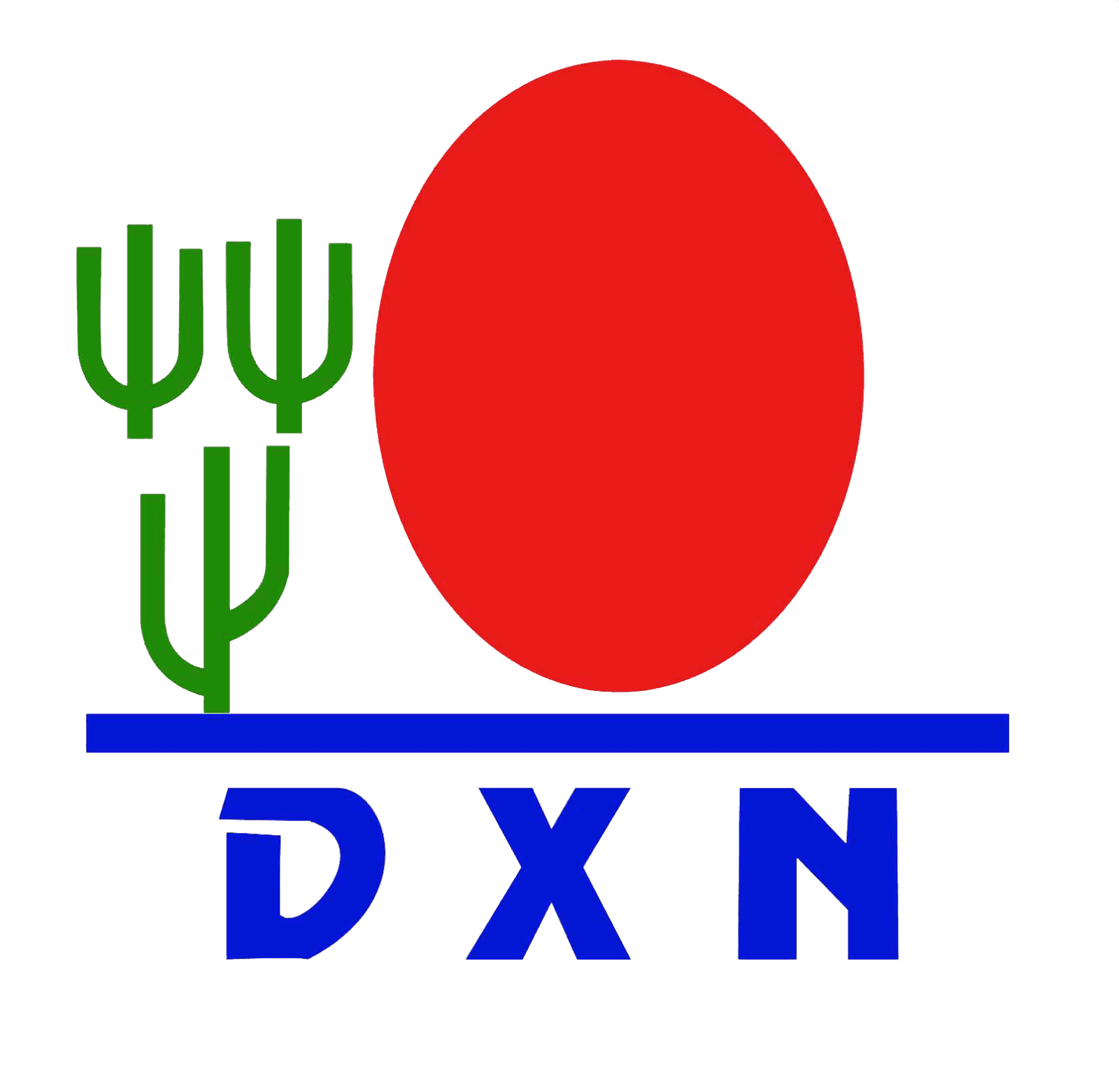 DXN